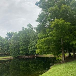 Meet your Posher, Fabianne